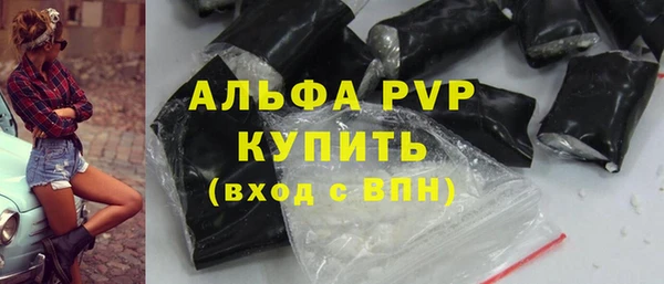 прущие грибы Наволоки