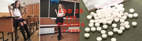 прущие грибы Наволоки