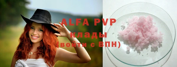 прущие грибы Наволоки