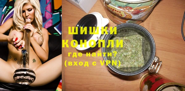 прущие грибы Наволоки