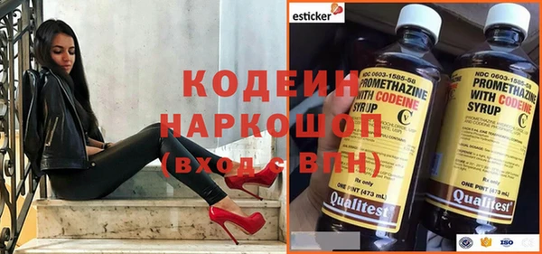 прущие грибы Наволоки