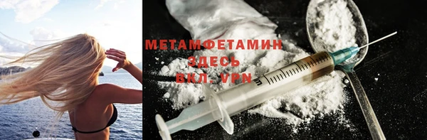 прущие грибы Наволоки