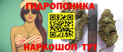 2c-b Балаково
