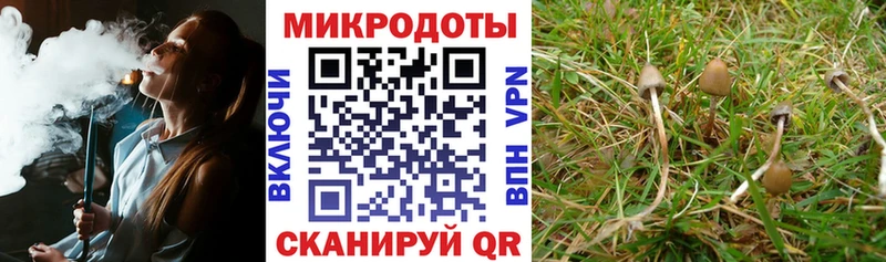 Псилоцибиновые грибы MAGIC MUSHROOMS  Сыктывкар 