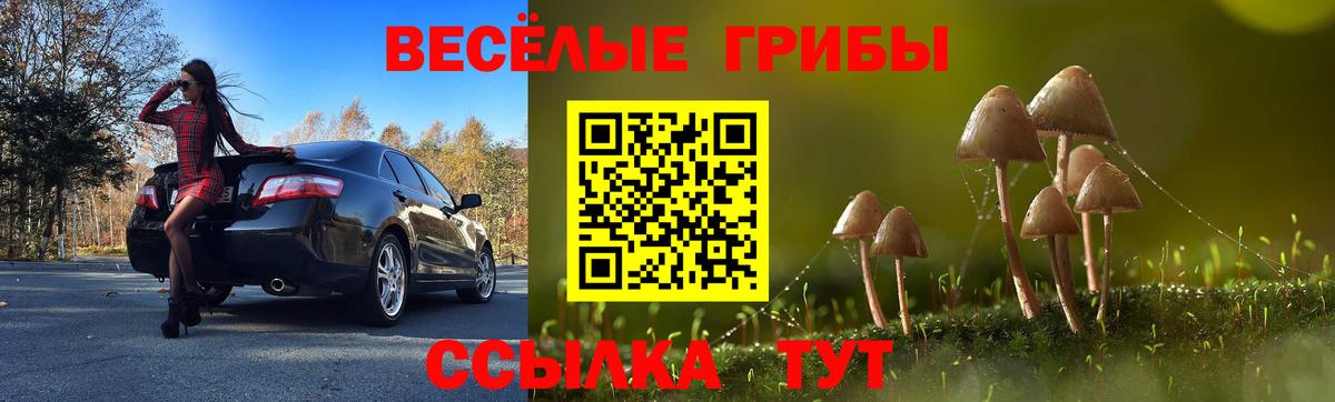 Сыктывкар  цена наркотик  Вход с VPN  Галлюциногенные грибы MAGIC MUSHROOMS 